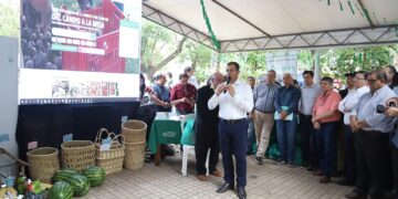 Aprueban medidas para fomentar la formalización del Turismo en Paraguay